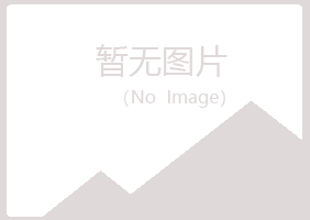 龙岩新罗紫山金融有限公司